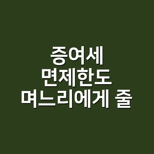 증여세 면제한도 며느리에게 줄 때 확인할 4가지 - 요약