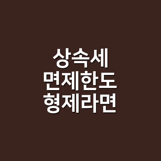 상속세 면제한도 형제라면 확인할 4가지 - 요약