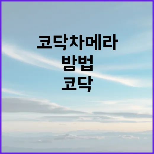 코닥 차메라를 제대로 사용하는 방법 - 요약