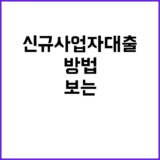 신규사업자대출 처음 준비하는 방법, 사업자 낸 뒤 돈 막히기 전에 보는 순서 - 요약