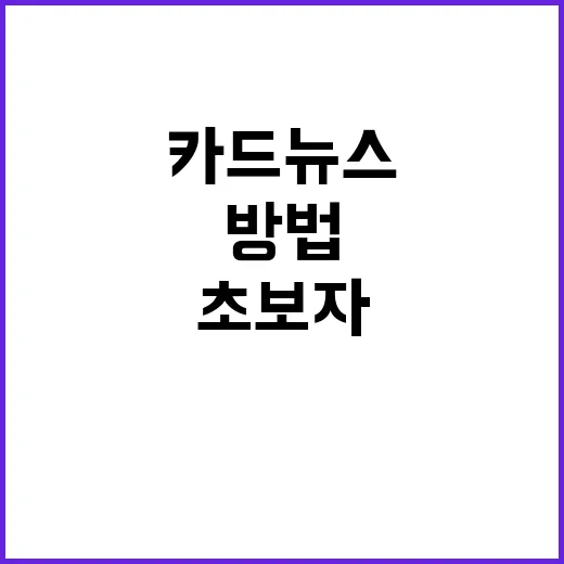 카드뉴스만들기 초보자가 바로 따라 하기 좋은 방법 - 요약