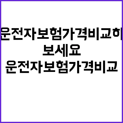 운전자보험가격 비교하는 방법, 월 보험료 아끼려면 이렇게 보세요 - 요약
