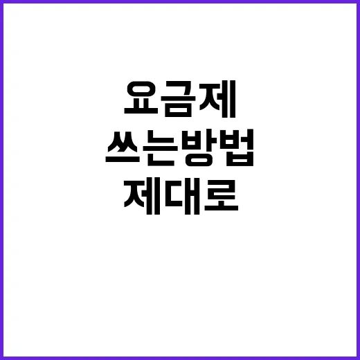 NETFLIX 요금제 고르고 제대로 쓰는 방법 - 요약