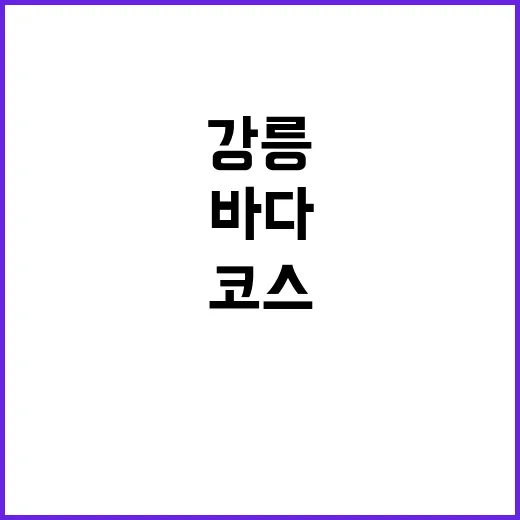 강릉놀거리 하루 코스 짜는 방법, 바다부터 시장까지 알차게 도는 순서 - 요약