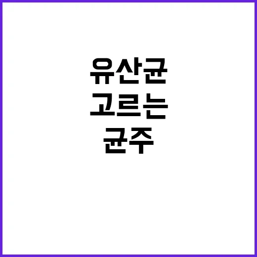 초보자를 위한 유산균추천 고르는 방법, 균주부터 보관까지 이렇게 보면 쉬워요 - 요약