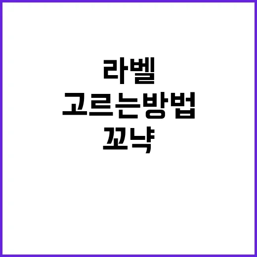 초보자를 위한 꼬냑 고르는 방법, 라벨부터 마시는 온도까지 - 요약