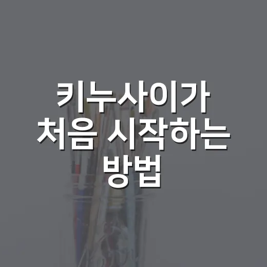 키누사이가 처음 시작하는 방법, 바느질 없이 패브릭 그림 만드는 법 - 요약