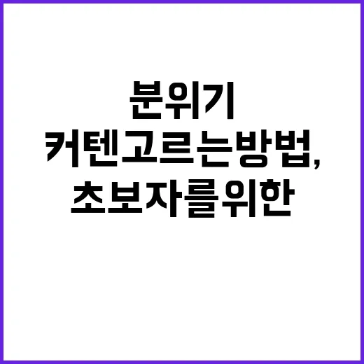 초보자를 위한 커텐 고르는 방법, 창문 분위기부터 관리까지 이렇게 - 요약