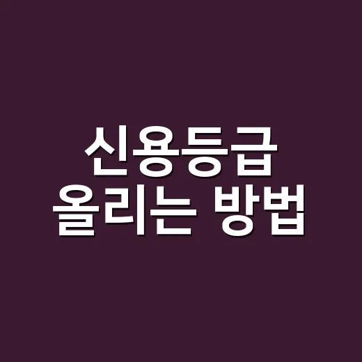 신용등급 올리는 방법, 처음 관리하는 사람도 이렇게 시작하면 됩니다 - 요약