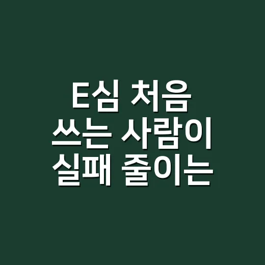 E심 처음 쓰는 사람이 실패 줄이는 방법 - 요약