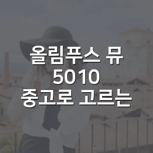 올림푸스 뮤 5010 중고로 고르는 방법, 오래된 디카 감성까지 챙기려면 이렇게 - 요약