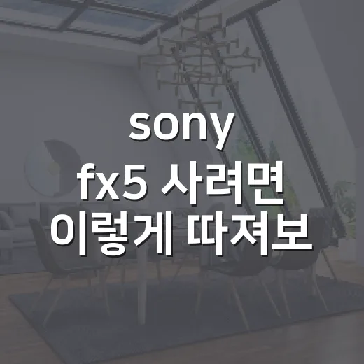 sony fx5 사려면 이렇게 따져보면 됩니다 - 요약
