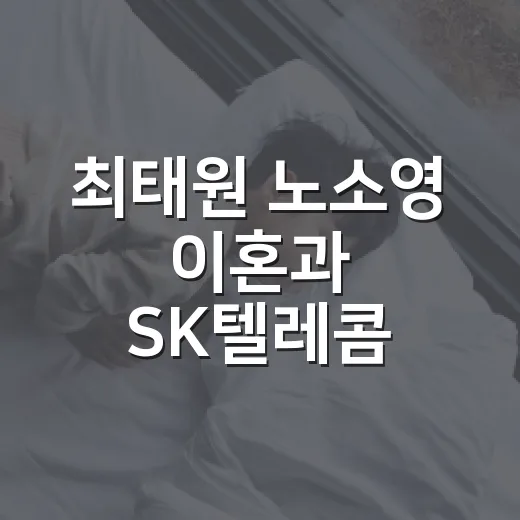 최태원 노소영 이혼과 SK텔레콤 주가 폭등을 헷갈리지 않고 읽는 방법 - 요약