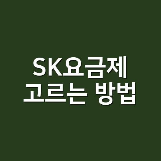 SK요금제 고르는 방법: 5G·LTE 통합 이후 내 사용량에 맞추려면 이렇게 - 요약