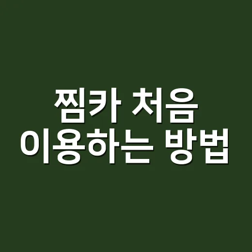 찜카 처음 이용하는 방법, 렌터카 예약 전에 이렇게 비교하면 편해요 - 요약
