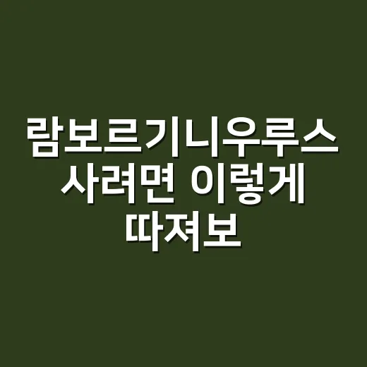 람보르기니우루스 사려면 이렇게 따져보면 됩니다 - 요약