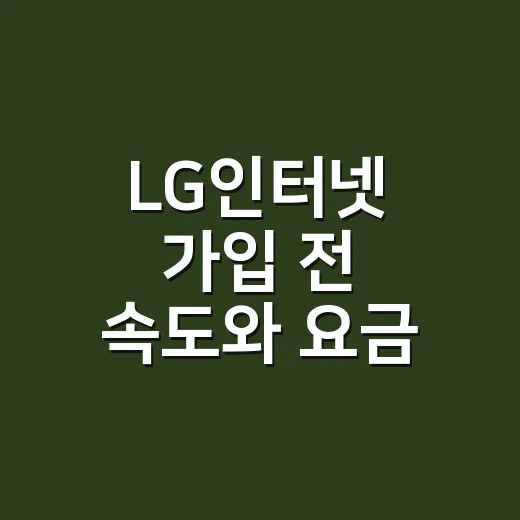 LG인터넷 가입 전 속도와 요금 고르는 방법 - 요약