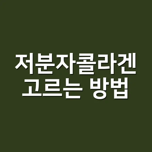 저분자콜라겐 고르는 방법, 처음 먹는 사람은 이렇게 보면 편해요 - 요약