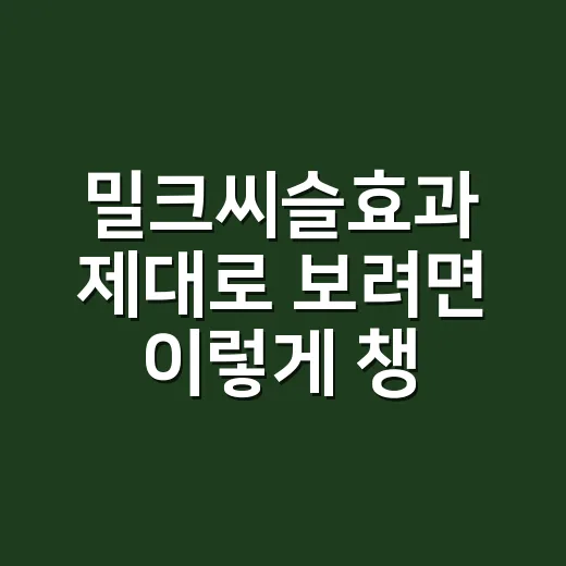 밀크씨슬효과 제대로 보려면 이렇게 챙기면 좋아요 - 요약