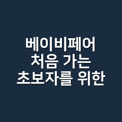 베이비페어 처음 가는 초보자를 위한 알뜰하게 준비하는 방법 - 요약