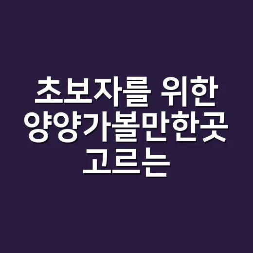 초보자를 위한 양양가볼만한곳 고르는 방법 - 요약