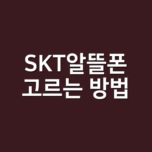 SKT알뜰폰 고르는 방법, 초보자는 이 순서로 보면 덜 헷갈립니다 - 요약
