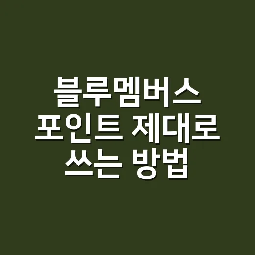 블루멤버스 포인트 제대로 쓰는 방법, 차 살 때부터 생활 제휴처까지 - 요약