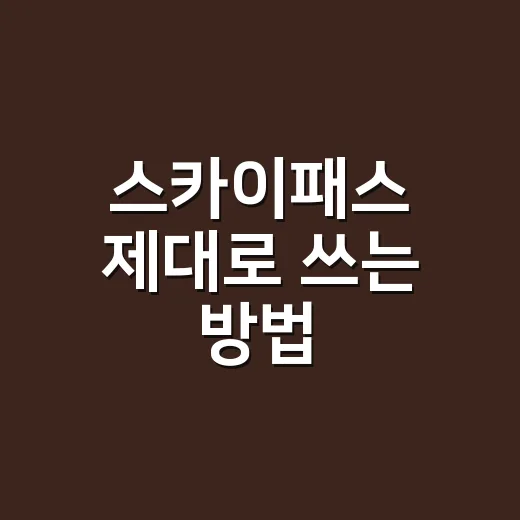 스카이패스 제대로 쓰는 방법, 적립부터 소멸 전 사용까지 - 요약