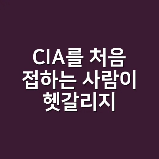 CIA를 처음 접하는 사람이 헷갈리지 않고 이해하는 방법 - 요약