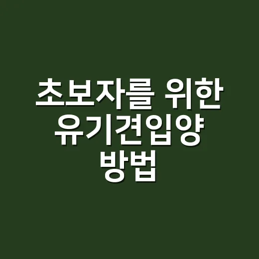 초보자를 위한 유기견입양 방법, 집에 데려오기 전 꼭 챙길 것들 - 요약