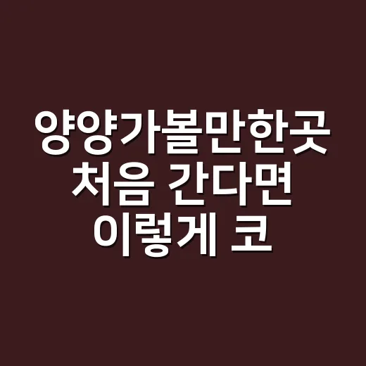 양양가볼만한곳 처음 간다면 이렇게 코스 짜면 편해요 - 요약
