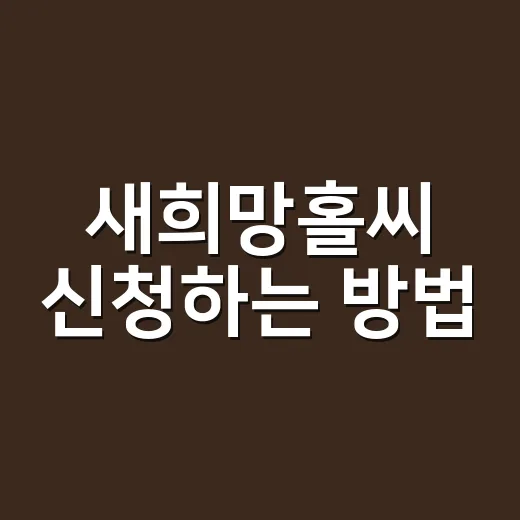 새희망홀씨 신청하는 방법, 조건부터 은행 선택까지 쉽게 준비하기 - 요약