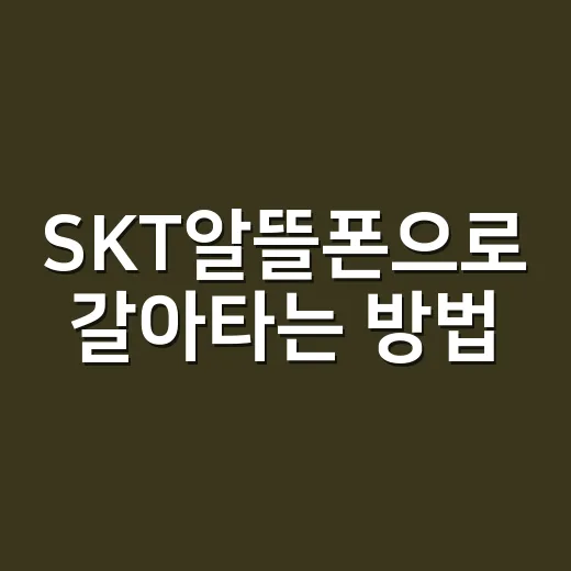 SKT알뜰폰으로 갈아타는 방법, 처음이면 이렇게 고르면 편해요 - 요약