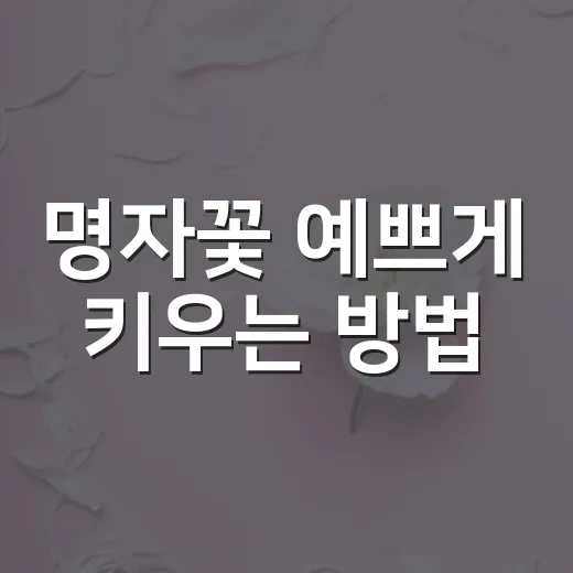 명자꽃 예쁘게 키우는 방법, 초보자가 놓치기 쉬운 물주기와 가지치기 - 요약