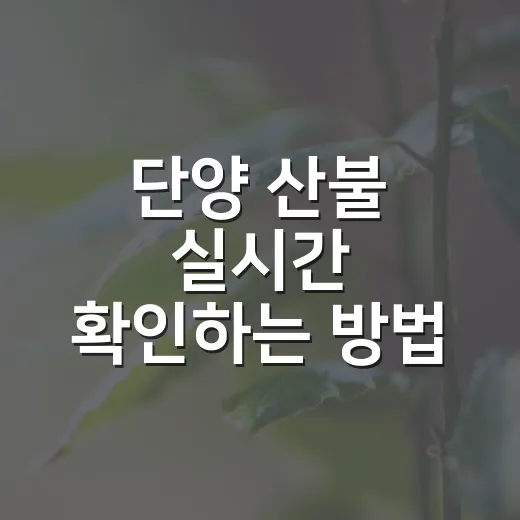 단양 산불 실시간 확인하는 방법, 여행 전에는 이렇게 체크하세요 - 요약