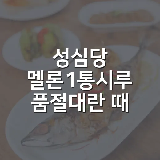 성심당 멜론1통시루 품절대란 때 헛걸음 줄이는 방법 - 요약