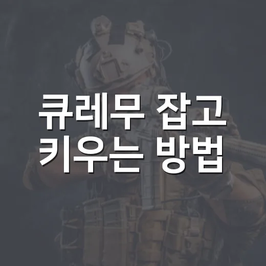 큐레무 잡고 키우는 방법, 초보자가 헷갈리는 폼체인지까지 쉽게 보기