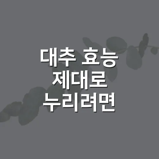 대추 효능 제대로 누리려면 이렇게 드세요 - 요약