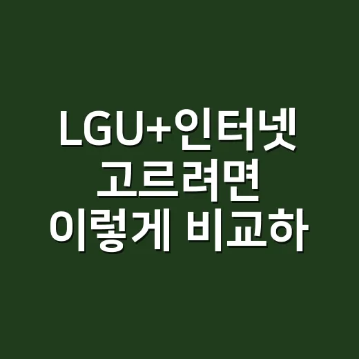 LGU+인터넷 고르려면 이렇게 비교하면 됩니다 - 요약