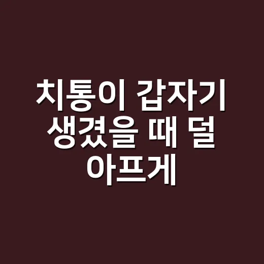 치통이 갑자기 생겼을 때 덜 아프게 버티는 방법 - 요약