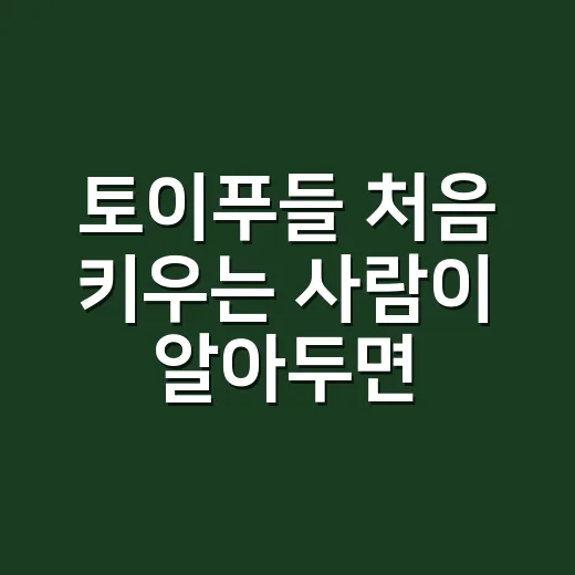 토이푸들 처음 키우는 사람이 알아두면 편한 관리 방법 - 요약