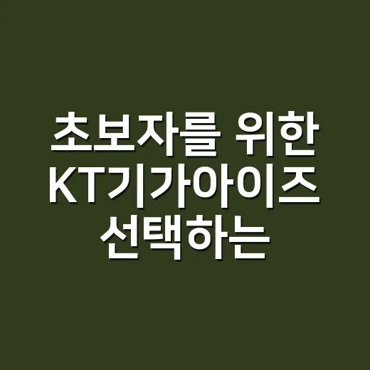 초보자를 위한 KT기가아이즈 선택하는 방법, 매장 CCTV 고를 때 보는 기준 - 요약