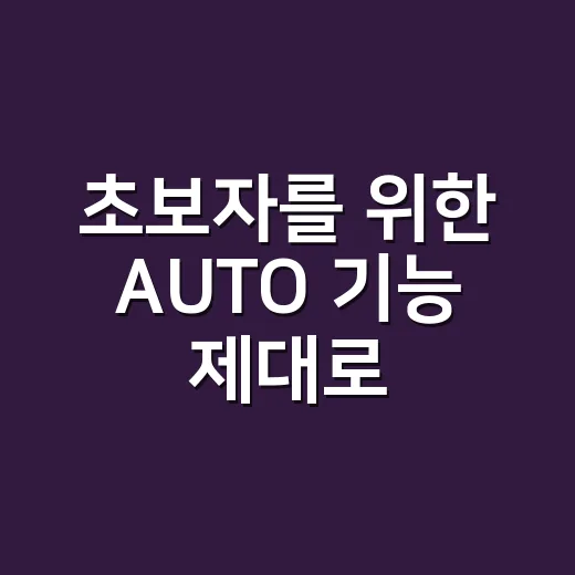 초보자를 위한 AUTO 기능 제대로 쓰는 방법 - 요약