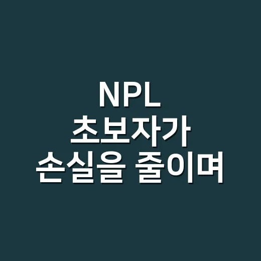 NPL 초보자가 손실을 줄이며 접근하는 방법 - 요약