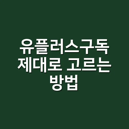 유플러스구독 제대로 고르는 방법, 유독 Pick은 이렇게 보면 쉽습니다 - 요약