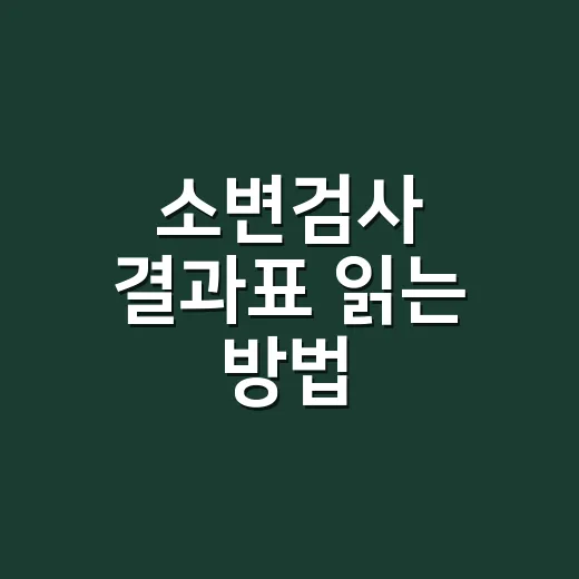 소변검사 결과표 읽는 방법, 처음 받아도 덜 헷갈리게 - 요약