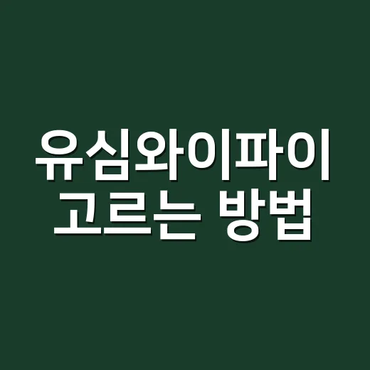 유심와이파이 고르는 방법, 여행 전에 헷갈리지 않게 준비하기 - 요약