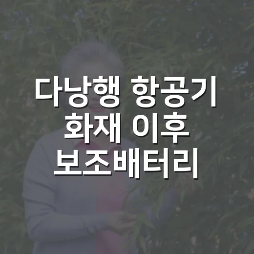 다낭행 항공기 화재 이후 보조배터리 안전하게 챙기는 방법 - 요약