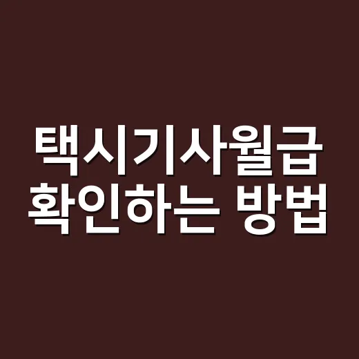 택시기사월급 확인하는 방법, 법인택시와 개인택시 수입 보는 법 - 요약