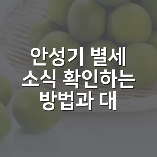 안성기 별세 소식 확인하는 방법과 대표작 다시 보는 순서 - 요약